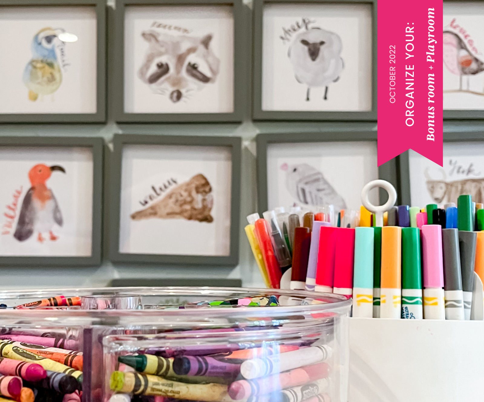 Organization Accessible To All Ages