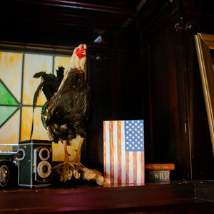 The USA Journal