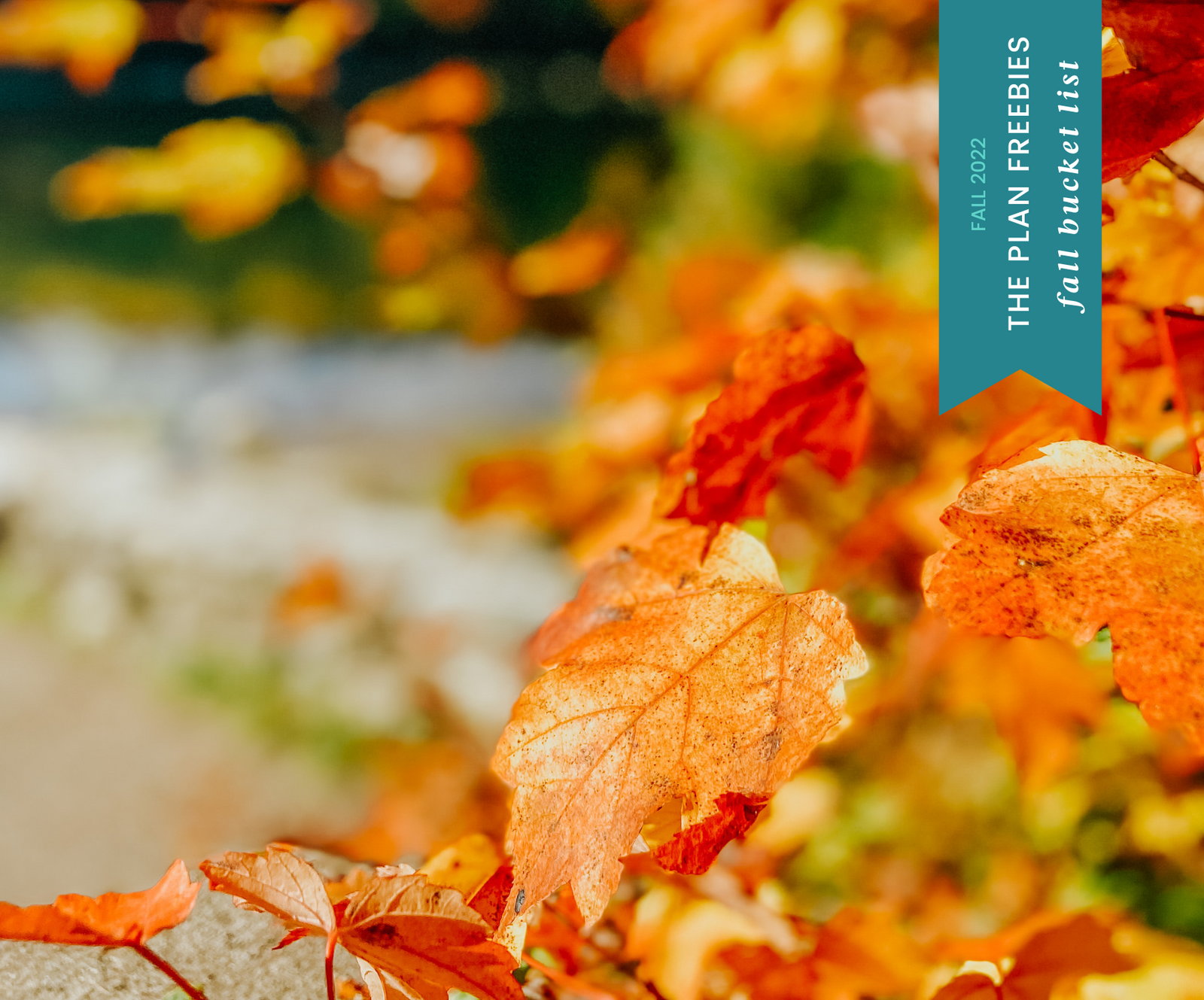 22 Things To Add To Your Fall Bucket List