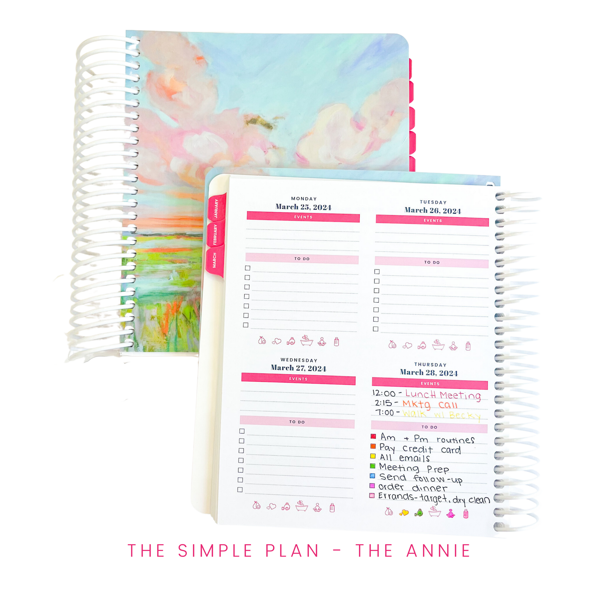 The Tote Organizer - The Plan By Lauren Truslow