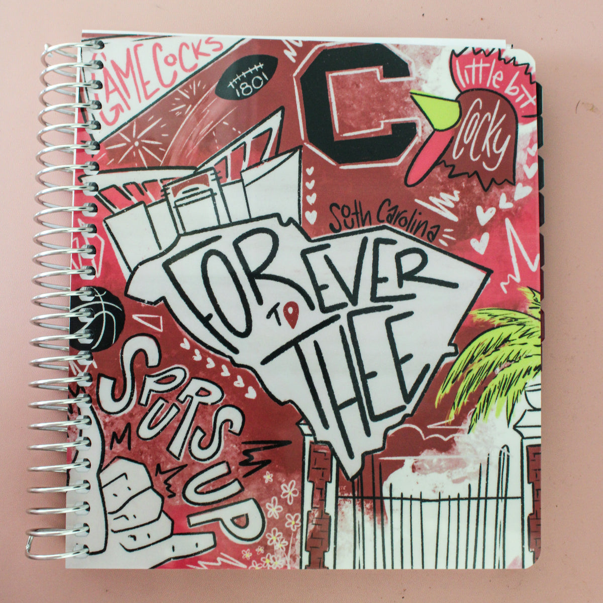 The Academic Plan '25-'26