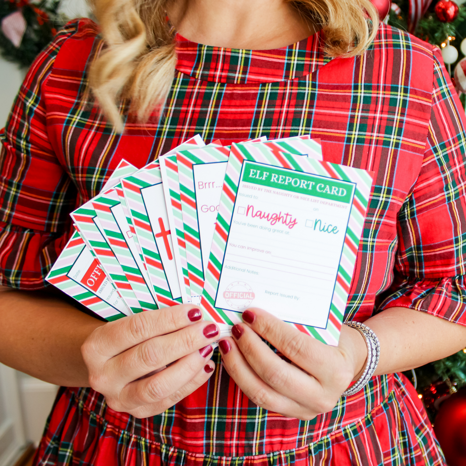 The Elf Plan (Digital Download)